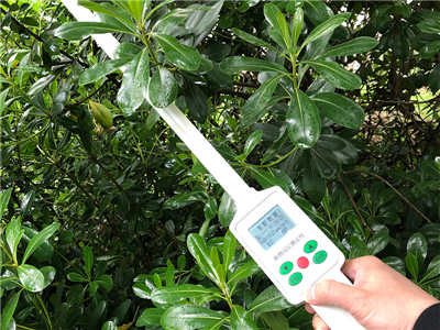 TOP-1000植物冠層分析儀